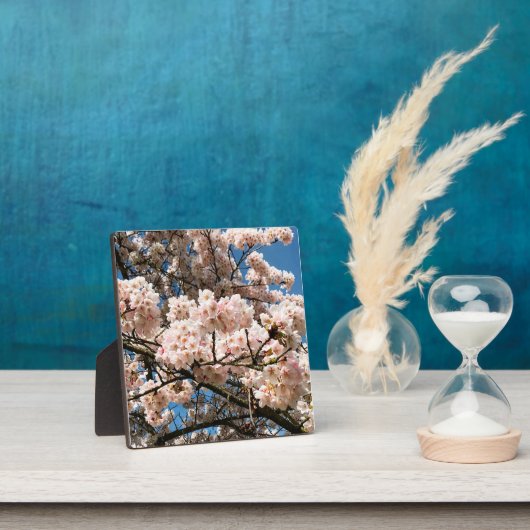 Kirschbaum in Bloom, Oregon Fotoplatte (InSitu)