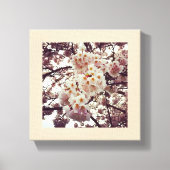 Kirschbaum in Bloom, Oregon Leinwanddruck (Vorderseite)