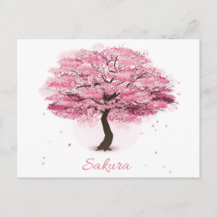Kirschbaum in Blüte Postkarte