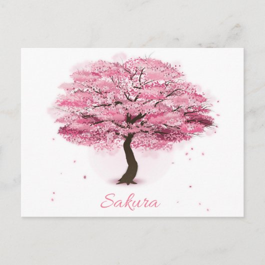 Kirschbaum in Blüte Postkarte (Vorderseite)