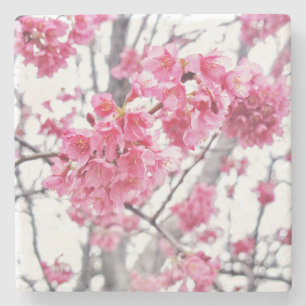 Kirschbaum in Blüte Steinuntersetzer