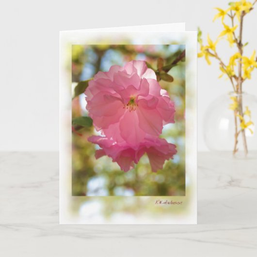 Kirschbaum (Kwanzan) Karte (Gelbe Blume)