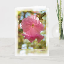 Kirschbaum (Kwanzan)