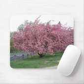 Kirschbaum Mousepad (Mit Mouse)