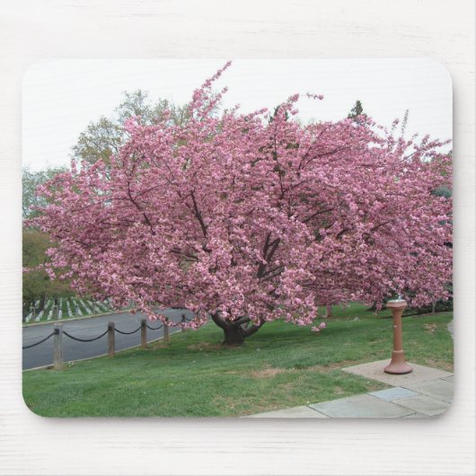 Kirschbaum Mousepad (Vorne)