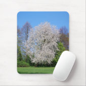 Kirschbaum Mousepad (Mit Mouse)