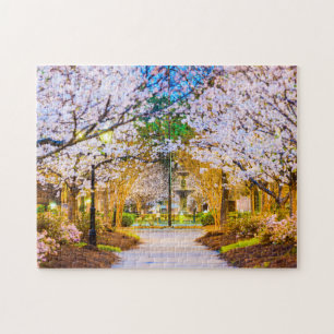 Kirschbaum puzzle