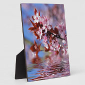 Kirschbaumblüten Fotoplatte (Seite)