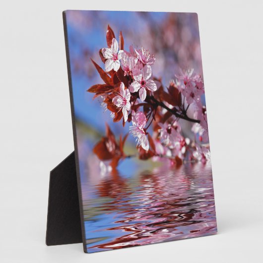 Kirschbaumblüten Fotoplatte (Seite)