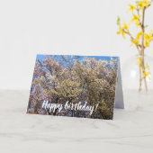 Kirschbäume blühen an einem warmen Frühlingstag Karte (Gelbe Blume)