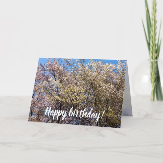 Kirschbäume blühen an einem warmen Frühlingstag Karte (Vorderseite)