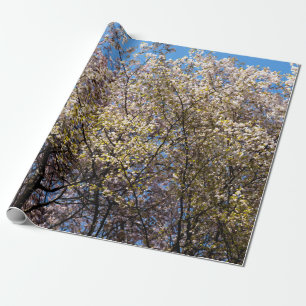 Kirschbäume im Vollblut Geschenkpapier