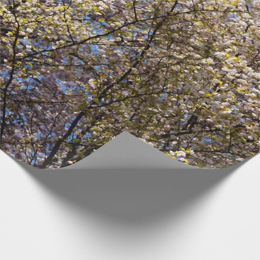 Kirschbäume im Vollblut Geschenkpapier (Ecke)
