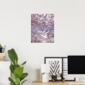 Kirschbäume in Blüte Poster (Heimbüro)