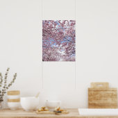 Kirschbäume in Blüte Poster (Küche)