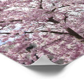 Kirschbäume in Blüte Poster (Ecke)