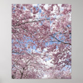 Kirschbäume in Blüte Poster (Vorne)