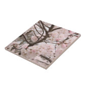 Kirschbllosse Fliese (Seite)