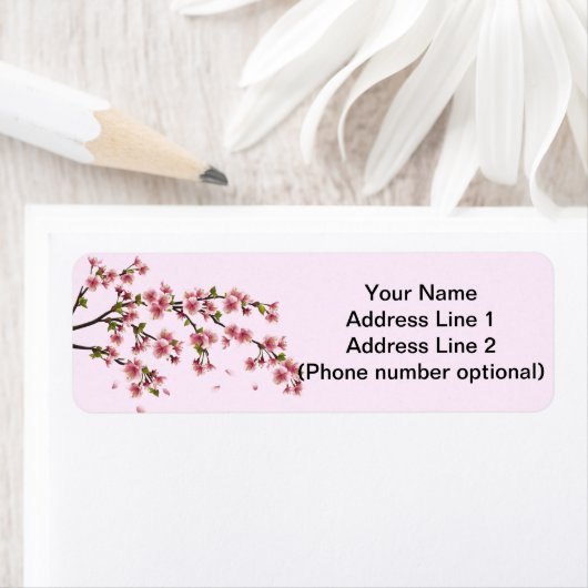 Kirschblüte (Insitu)