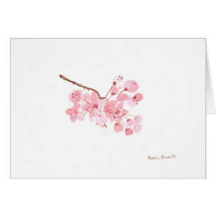 Kirschblüte