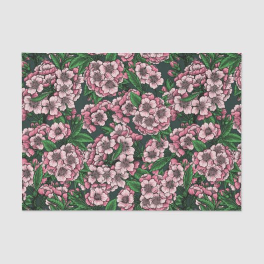 Kirschblüte 2 seidenpapier (Vorderseite)