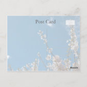 Kirschblüte am blauen Himmel, denken Sie an Sie Postkarte (Rückseite)