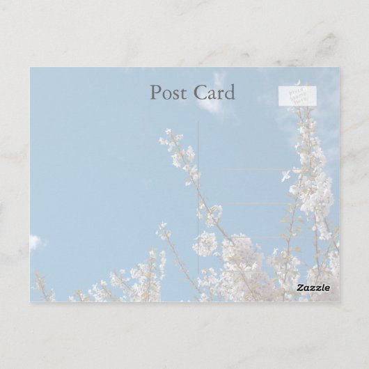 Kirschblüte am blauen Himmel, denken Sie an Sie Postkarte (Rückseite)