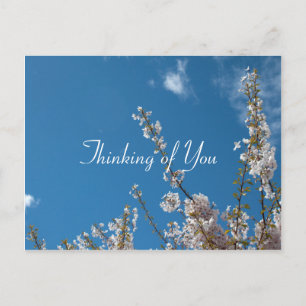 Kirschblüte am blauen Himmel, denken Sie an Sie Postkarte