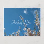Kirschblüte am blauen Himmel, denken Sie an Sie Postkarte (Vorderseite)