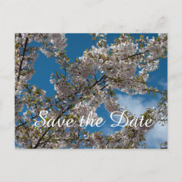 Kirschblüte am blauen Himmel. Save the Date Postka Ankündigungspostkarte