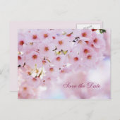 Kirschblüte Ankündigung Datum freihalten Postkarte (Vorne/Hinten)