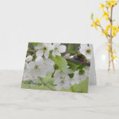 Kirschblüte, Denken Sie an Sie Karte (Gelbe Blume)