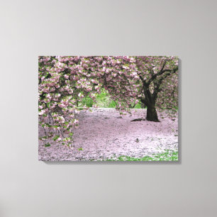 Kirschblüte dreimal eingewickelter Leinwand
