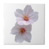 Kirschblüte Fliese (Vorderseite)