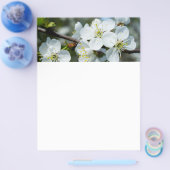 Kirschblüte Flyer (Einzeln)