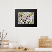 Kirschblüte: Hotate Poster (Küche)