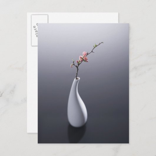 Kirschblüte im Vase Postkarte (Vorne/Hinten)