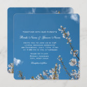 Kirschblüte in blauem Himmel Hochzeitseinladungen. Einladung (Vorne/Hinten)