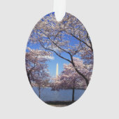 Kirschblüte in Washington DC-Foto Ornament (Rückseite)