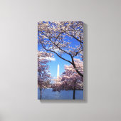 Kirschblüte in Washington DC Leinwanddruck (Vorderseite)