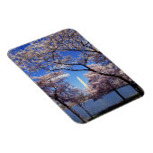 Kirschblüte in Washington DC Magnet (Rechte Seite)