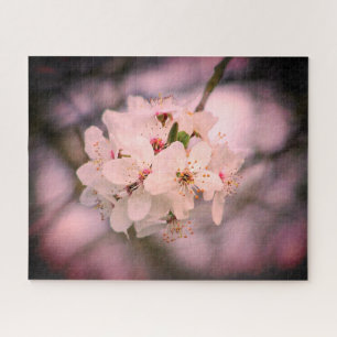 Kirschblüte Japan Blumenrosa hübsch einzigartig Puzzle