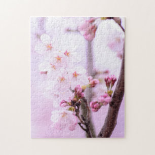 Kirschblüte Japan Blumenrosa hübsch einzigartig Puzzle