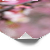 Kirschblüte Japanische Blumenrosa Blume Poster (Ecke)