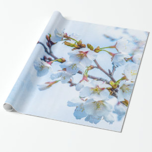 Kirschblüte - japanische Kirschblüte Geschenkpapier