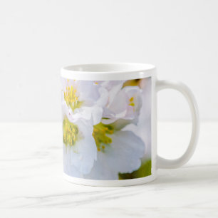 Kirschblüte Kaffeetasse