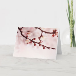Kirschblüte Karte