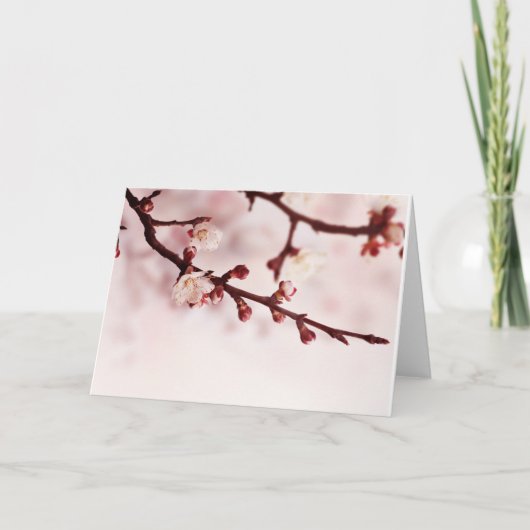 Kirschblüte Karte (Vorderseite)