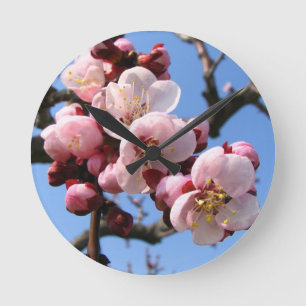 Kirschblüte Kirschblüte Runde Wanduhr