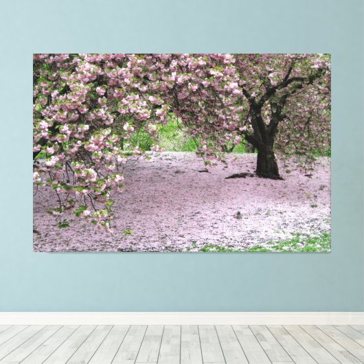 Kirschblüte Leinwanddruck (Insitu (Holzboden))